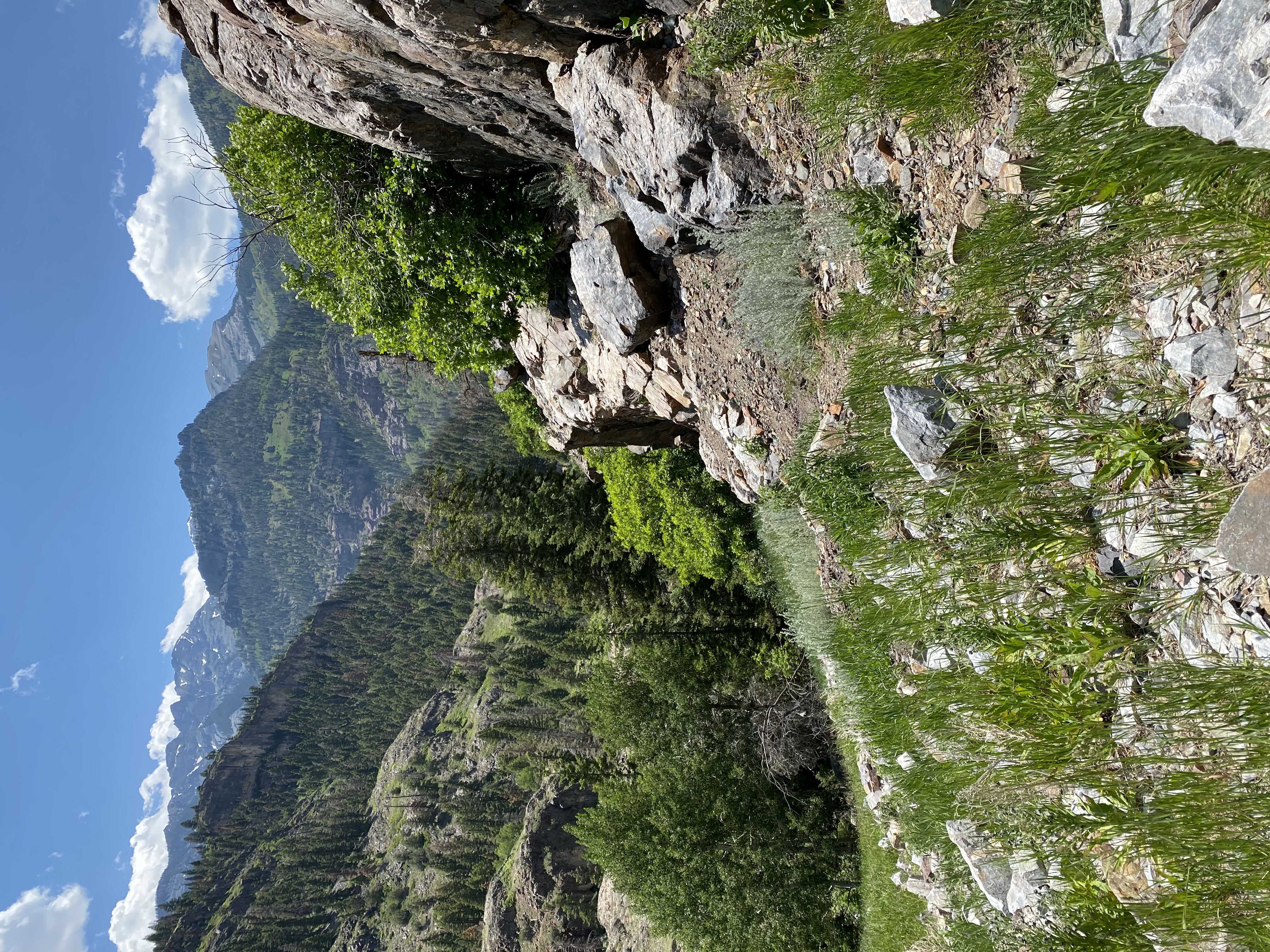 Mountain valley and rock face, Ouray, CO